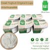 Greek Yoghurt 90 g Original Formula 6 Cups